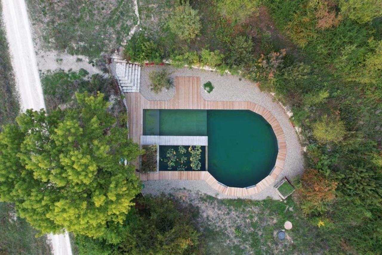 Maison Terre Les Cabanes De Fallot - Sauna Bain-Froid Piscine Naturelle L'isle-Bouzon Exteriér fotografie