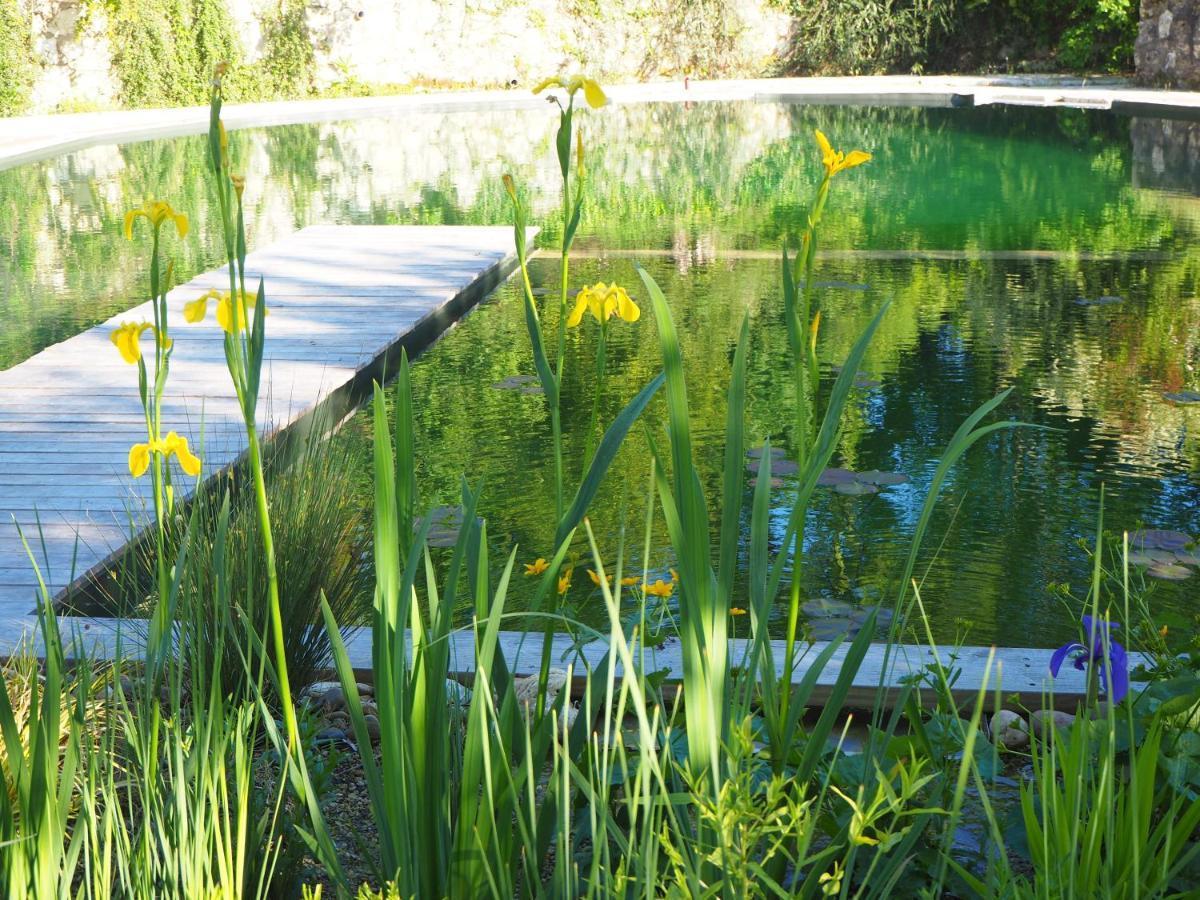 Maison Terre Les Cabanes De Fallot - Sauna Bain-Froid Piscine Naturelle L'isle-Bouzon Exteriér fotografie