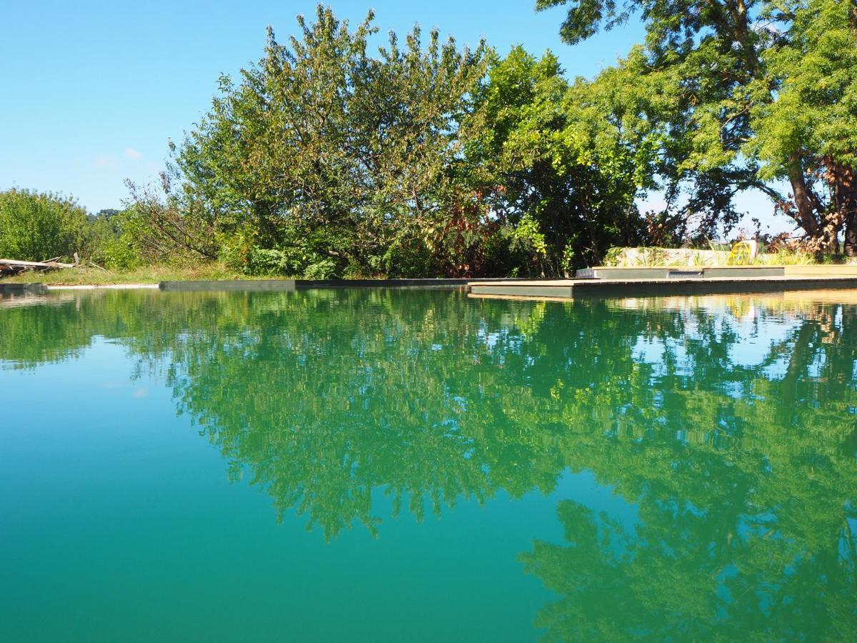 Maison Terre Les Cabanes De Fallot - Sauna Bain-Froid Piscine Naturelle L'isle-Bouzon Exteriér fotografie